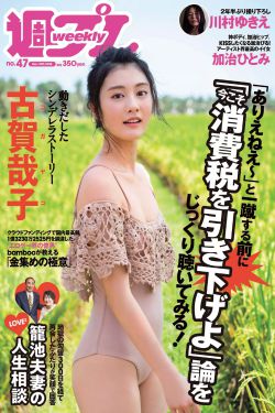 新女婿时代电视剧